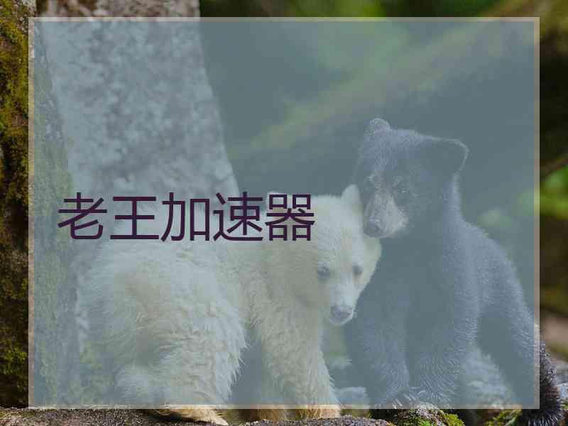 老王加速器