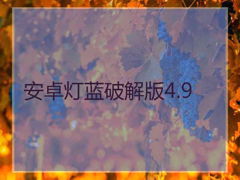 安卓灯蓝破解版4.9