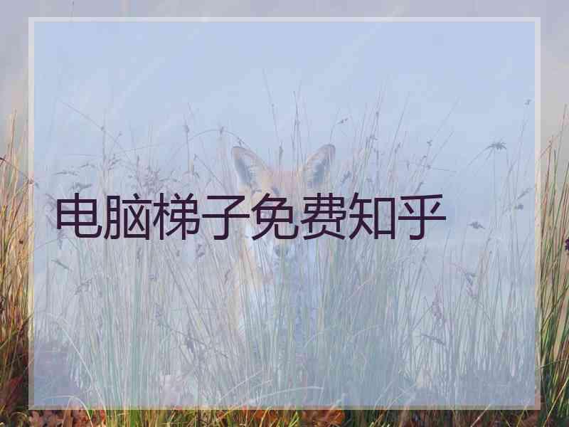 电脑梯子免费知乎